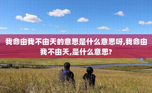 我命由我不由天的意思是什么意思呀,我命由我不由天,是什么意思?