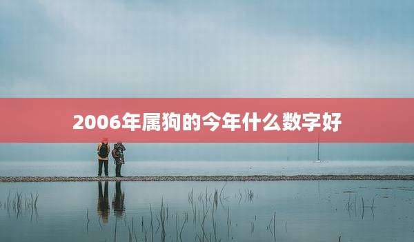 2006年属狗的今年什么数字好