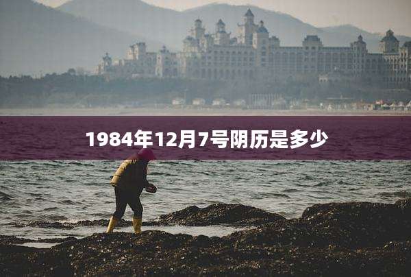 1984年12月7号阴历是多少