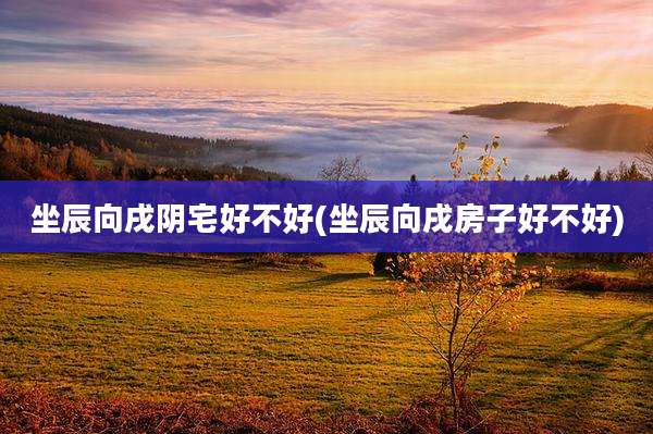 坐辰向戌阴宅好不好(坐辰向戌房子好不好)