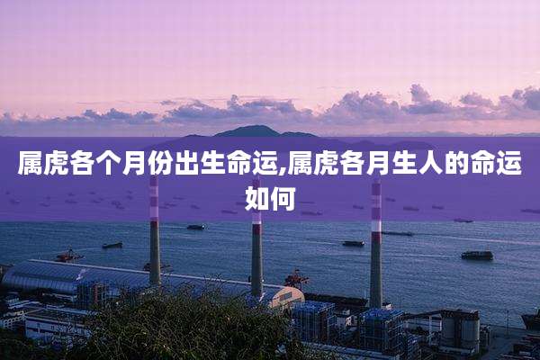 属虎各个月份出生命运,属虎各月生人的命运如何