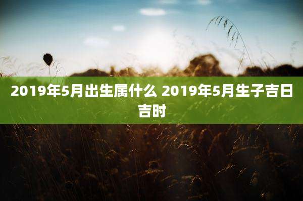 2019年5月出生属什么 2019年5月生子吉日吉时