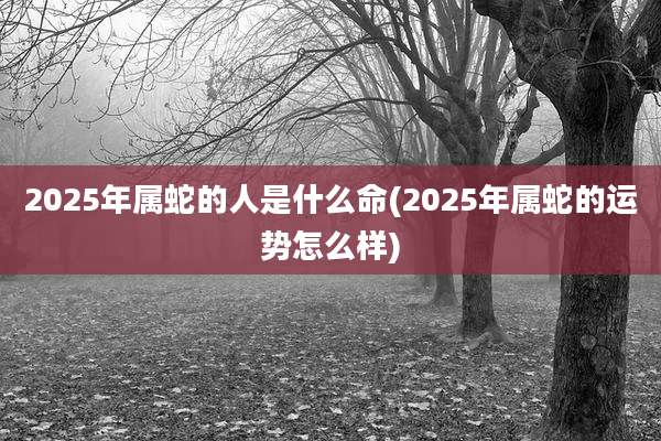 2025年属蛇的人是什么命(2025年属蛇的运势怎么样)