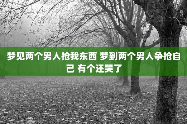 梦见两个男人抢我东西 梦到两个男人争抢自己 有个还哭了