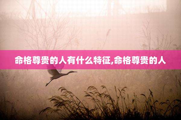命格尊贵的人有什么特征,命格尊贵的人