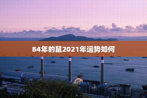 84年的鼠2021年运势如何