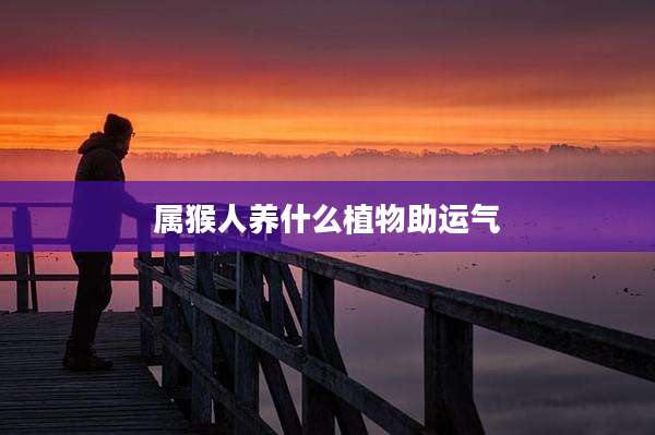 属猴人养什么植物助运气