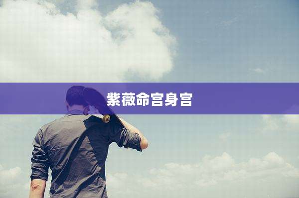 紫薇命宫身宫