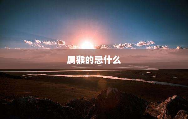 属猴的忌什么