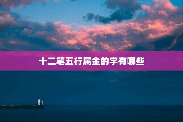 十二笔五行属金的字有哪些