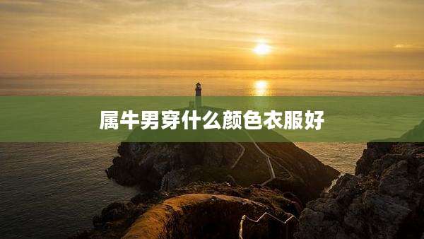 属牛男穿什么颜色衣服好