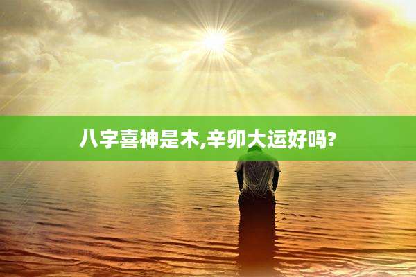 八字喜神是木,辛卯大运好吗?