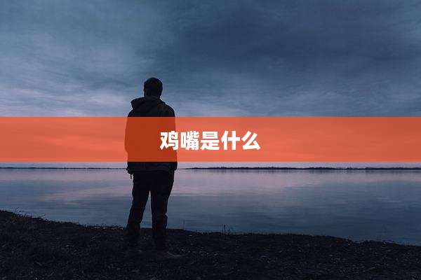 鸡嘴是什么