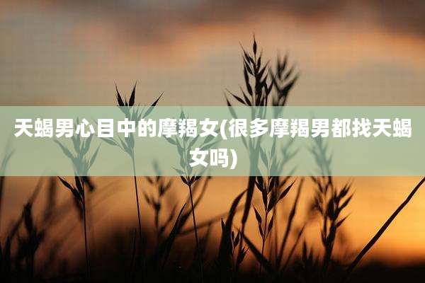 天蝎男心目中的摩羯女(很多摩羯男都找天蝎女吗)