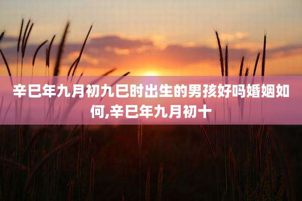 辛巳年九月初九巳时出生的男孩好吗婚姻如何,辛巳年九月初十