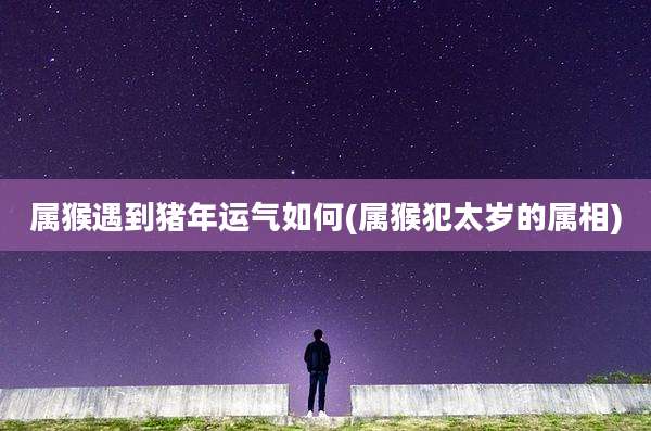 属猴遇到猪年运气如何(属猴犯太岁的属相)