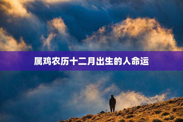 属鸡农历十二月出生的人命运