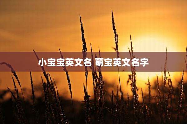 小宝宝英文名 萌宝英文名字