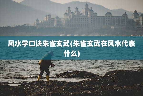 风水学口诀朱雀玄武(朱雀玄武在风水代表什么)