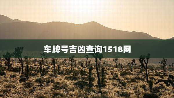 车牌号吉凶查询1518网