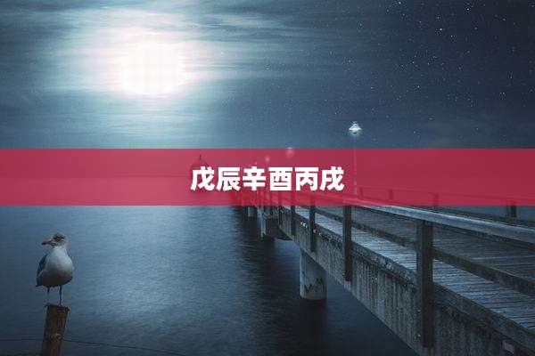 戊辰辛酉丙戌