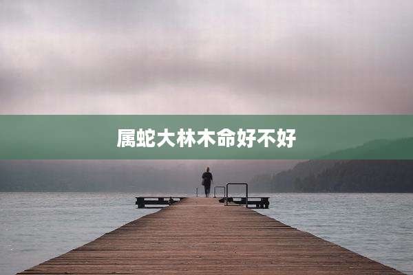 属蛇大林木命好不好