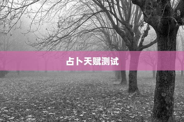 占卜天赋测试