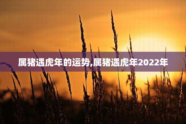 属猪遇虎年的运势,属猪遇虎年2022年