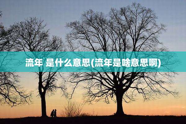 流年 是什么意思(流年是啥意思啊)