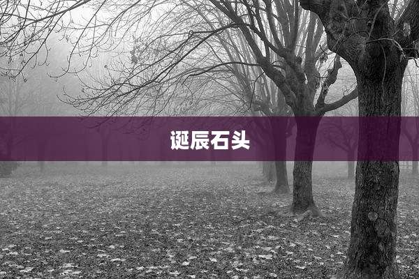 诞辰石头