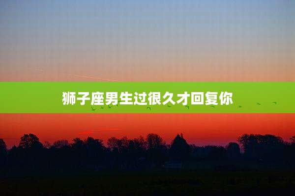 狮子座男生过很久才回复你