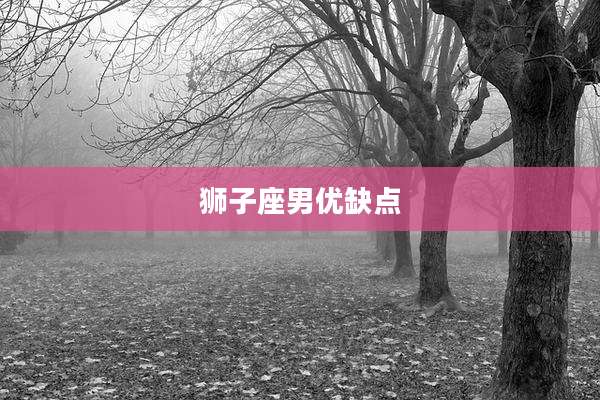 狮子座男优缺点
