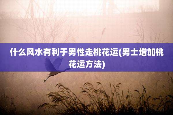 什么风水有利于男性走桃花运(男士增加桃花运方法)