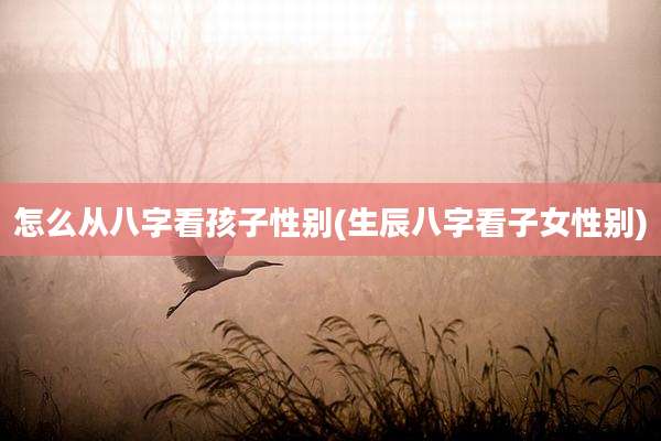怎么从八字看孩子性别(生辰八字看子女性别)