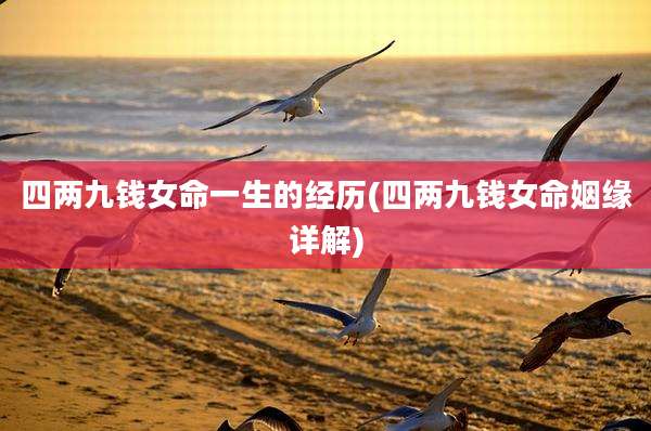 四两九钱女命一生的经历(四两九钱女命姻缘详解)
