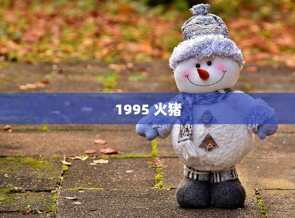 1995 火猪