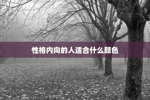 性格内向的人适合什么颜色