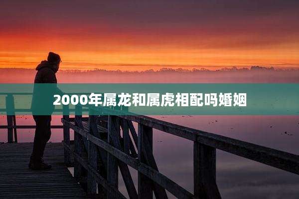 2000年属龙和属虎相配吗婚姻