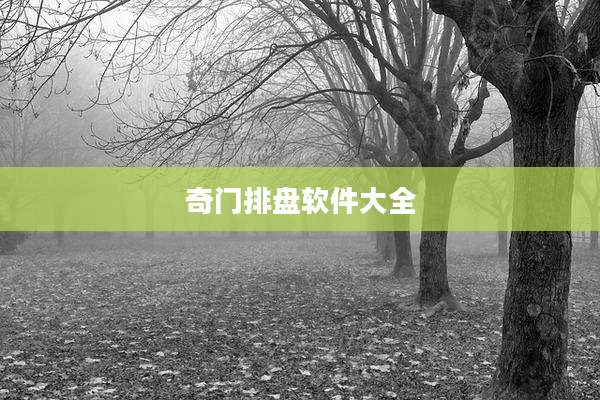 奇门排盘软件大全