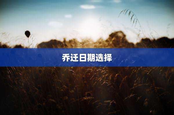 乔迁日期选择