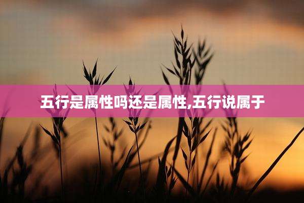 五行是属性吗还是属性,五行说属于