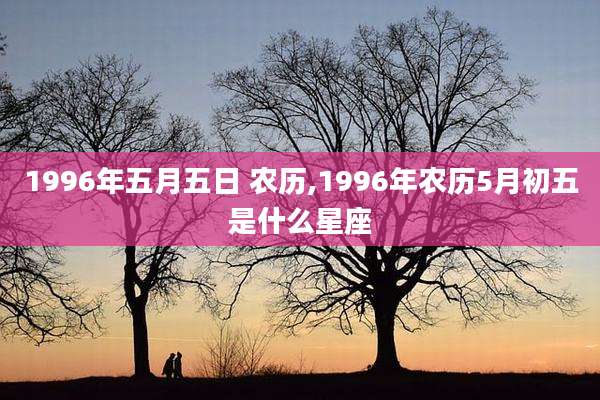 1996年五月五日 农历,1996年农历5月初五是什么星座
