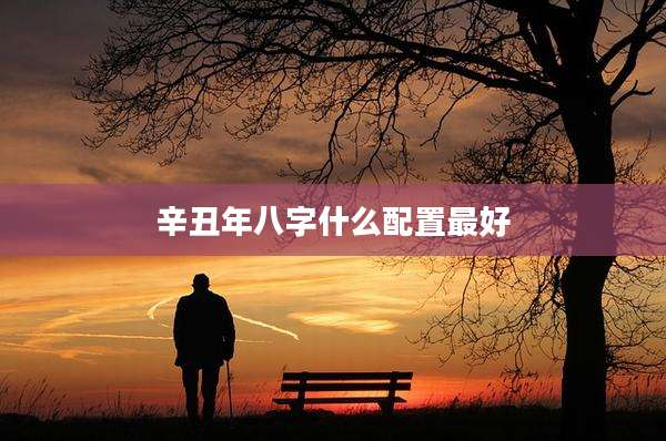 辛丑年八字什么配置最好