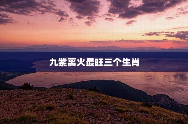 九紫离火最旺三个生肖