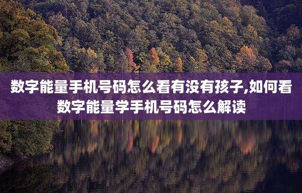 数字能量手机号码怎么看有没有孩子,如何看数字能量学手机号码怎么解读