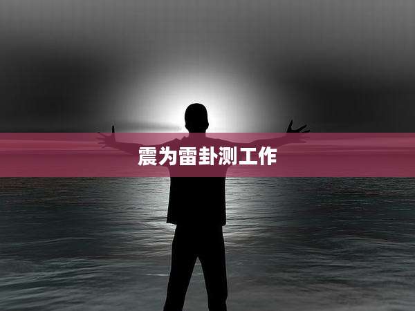 震为雷卦测工作