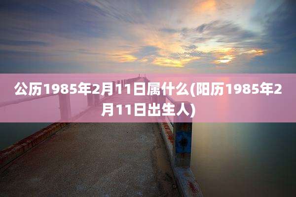 公历1985年2月11日属什么(阳历1985年2月11日出生人)