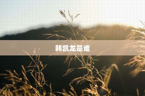 韩凯龙是谁