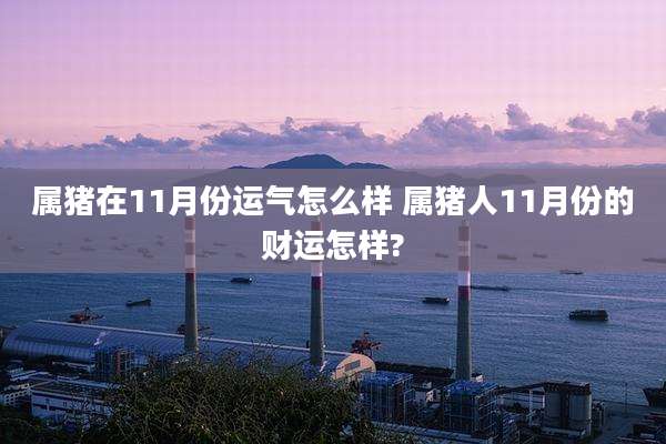 属猪在11月份运气怎么样 属猪人11月份的财运怎样?