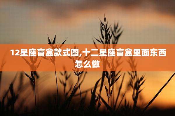 12星座盲盒款式图,十二星座盲盒里面东西怎么做